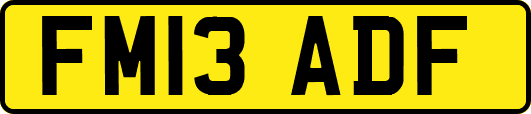FM13ADF