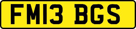 FM13BGS
