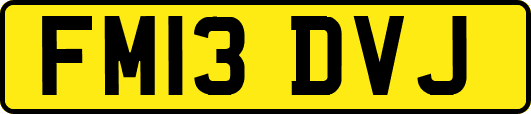 FM13DVJ