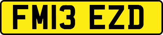FM13EZD