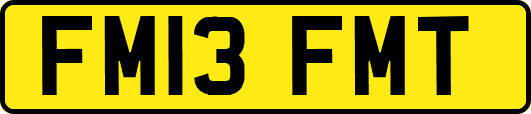 FM13FMT