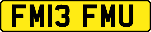 FM13FMU