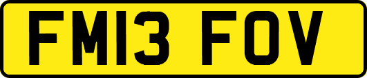 FM13FOV