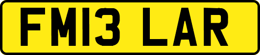 FM13LAR