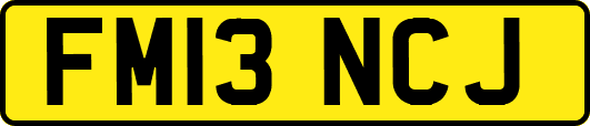FM13NCJ