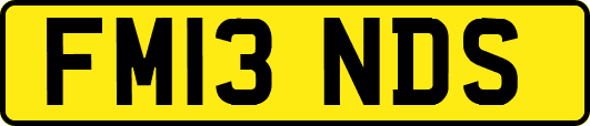 FM13NDS