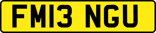 FM13NGU