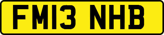FM13NHB