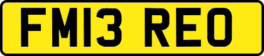 FM13REO