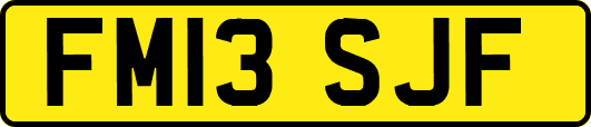 FM13SJF