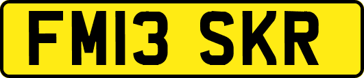 FM13SKR
