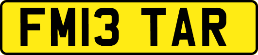 FM13TAR