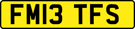 FM13TFS