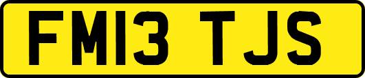 FM13TJS