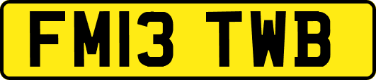 FM13TWB