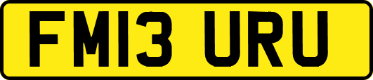 FM13URU