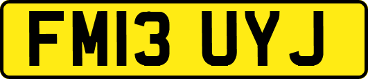 FM13UYJ