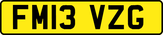 FM13VZG
