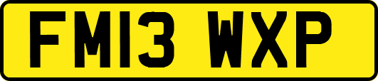 FM13WXP