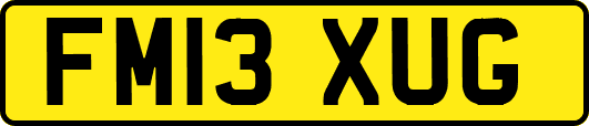 FM13XUG