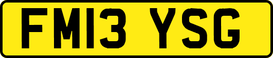 FM13YSG