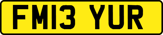 FM13YUR