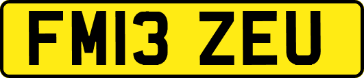 FM13ZEU