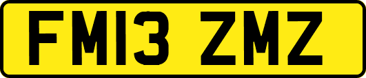 FM13ZMZ