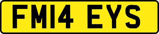 FM14EYS