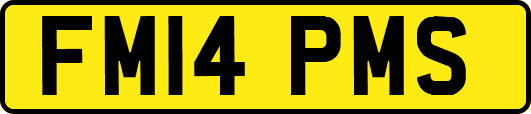 FM14PMS