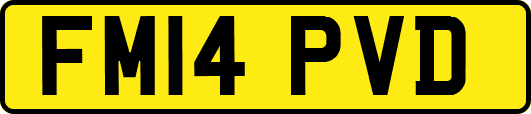 FM14PVD