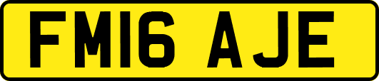 FM16AJE