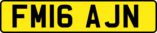 FM16AJN