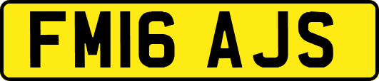 FM16AJS