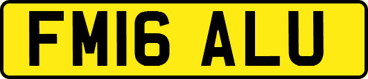 FM16ALU