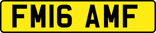 FM16AMF