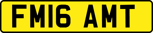 FM16AMT