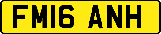 FM16ANH