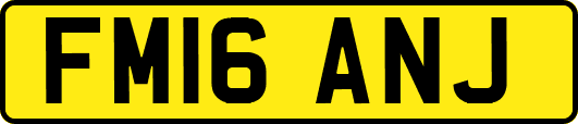FM16ANJ