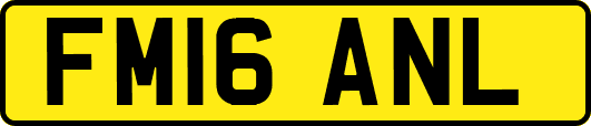 FM16ANL