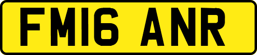FM16ANR