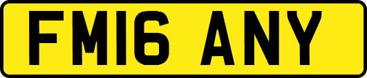 FM16ANY