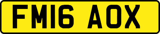 FM16AOX