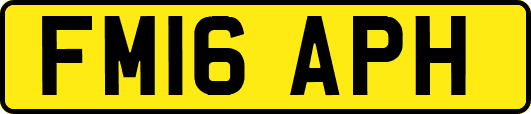 FM16APH