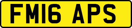 FM16APS