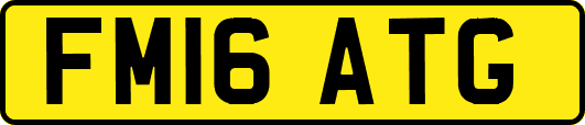 FM16ATG