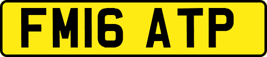 FM16ATP
