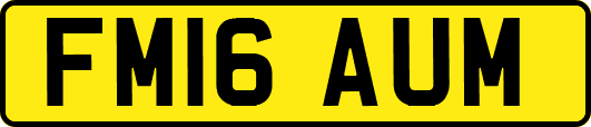 FM16AUM