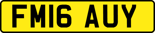 FM16AUY