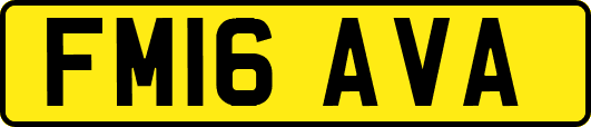 FM16AVA